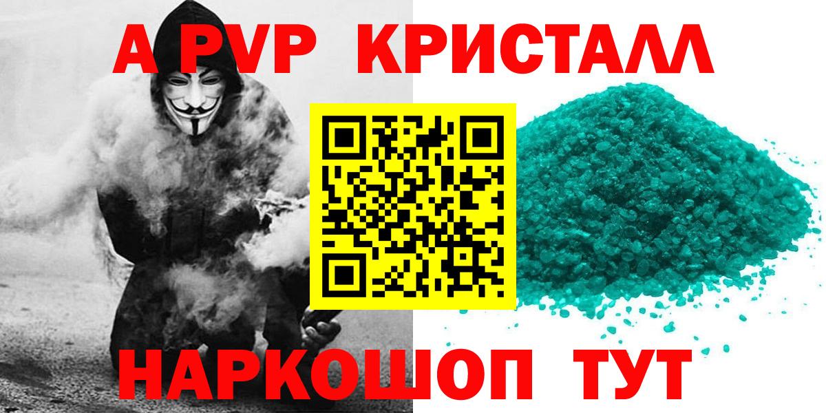 A PVP СК КРИС Нововоронеж