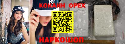 гидра Гусев