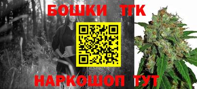 гидра Гусев