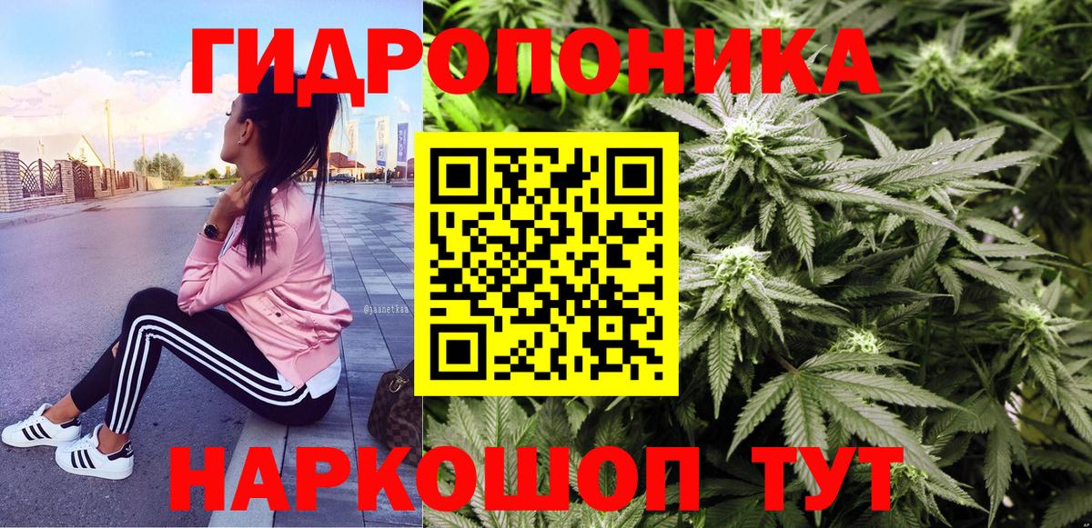 Шишки марихуана ГИДРОПОН Нововоронеж